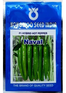 Naval F1 Hybrid Chilli